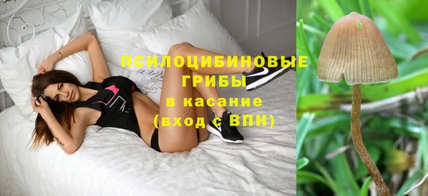 стафф Горнозаводск