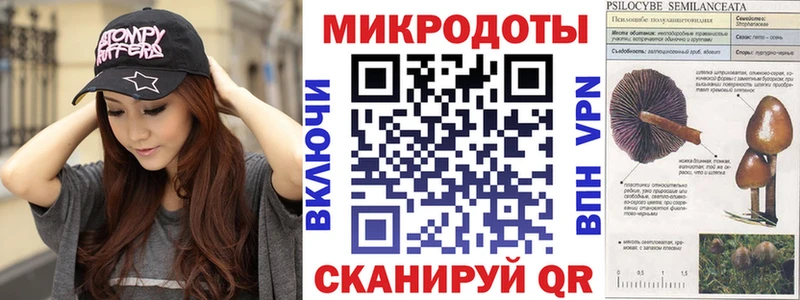 Купить закладки  Чапаевск  Псилоцибиновые грибы Psilocybine cubensis 
